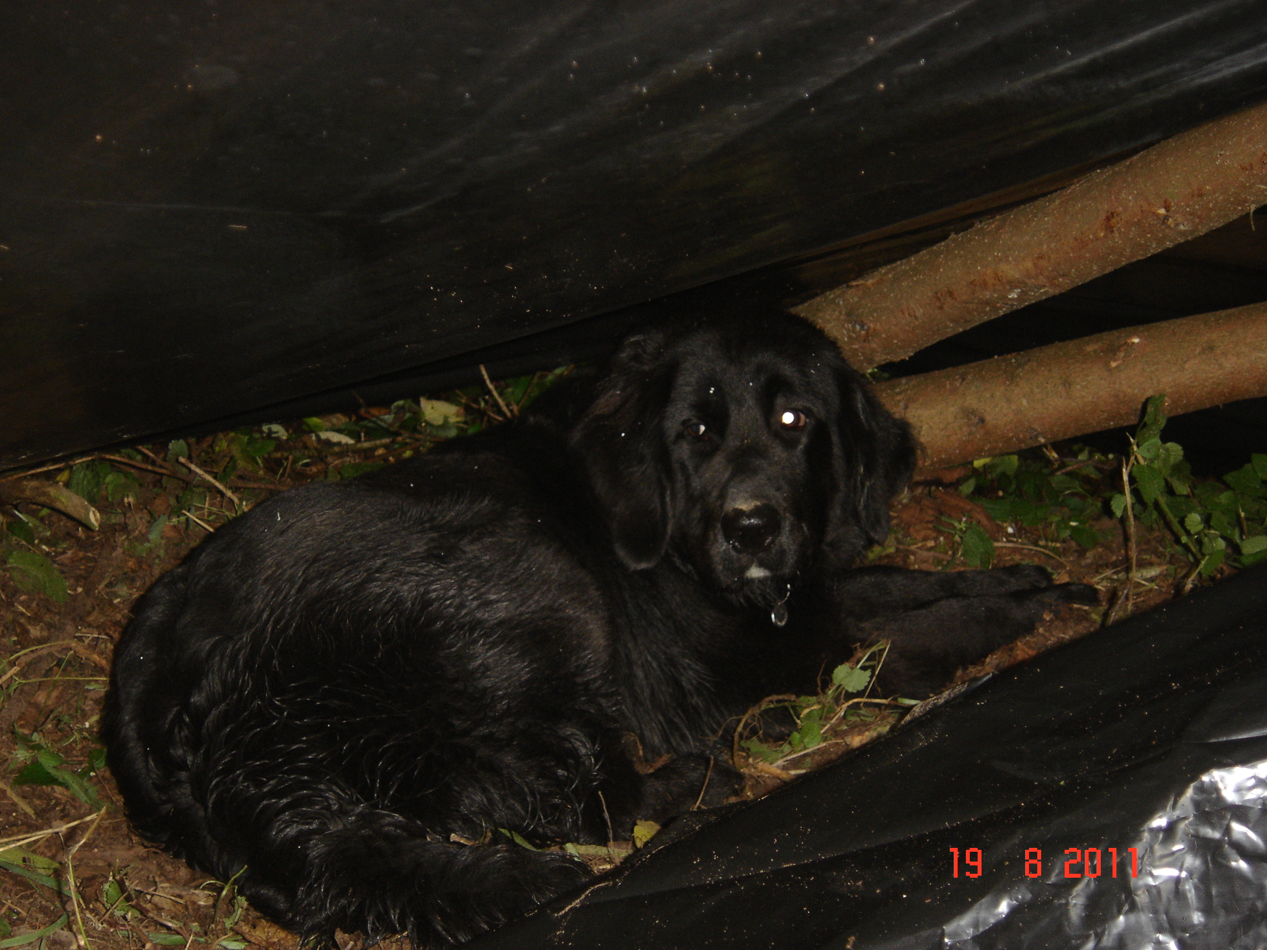 Víkend Chotěvice 19.-21.08.2011 031