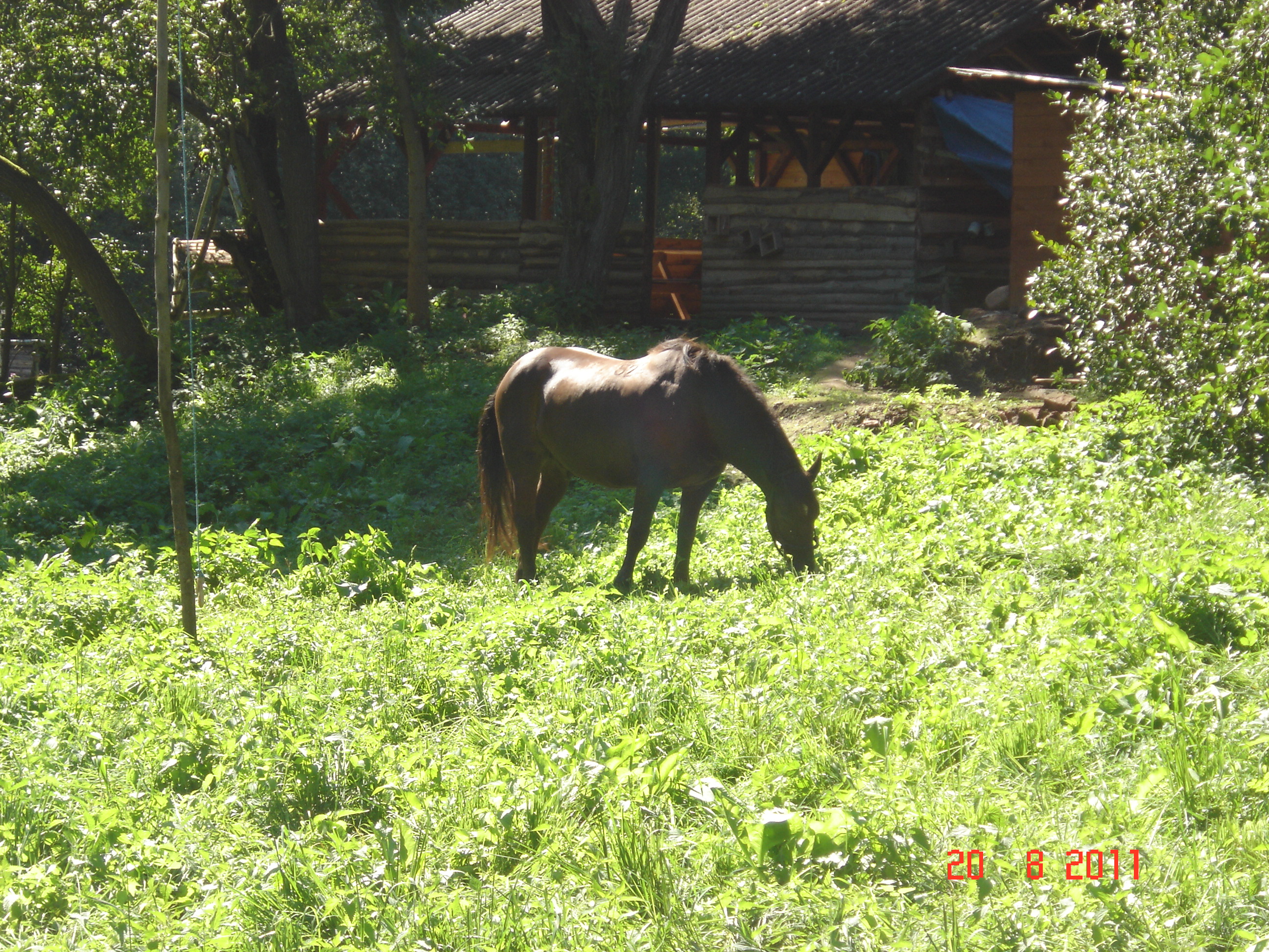 Víkend Chotěvice 19.-21.08.2011 043
